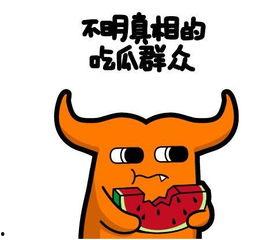 娱乐圈吃瓜爆料pdf知乎小霞,揭秘知乎小霞背后的故事